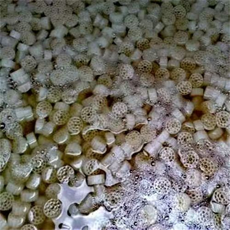 Meios filtrantes biológicos para lagoas