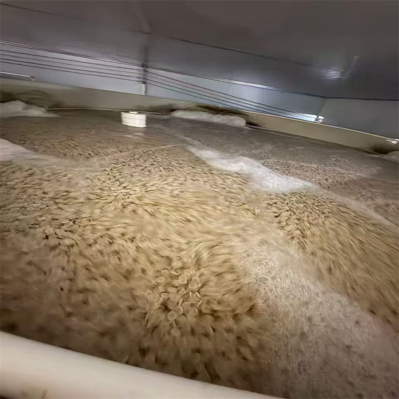 Meios filtrantes biológicos para lagoas