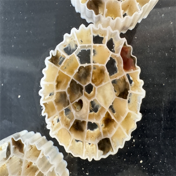 Tecnologia de reator de biofilme de leito móvel MBBR-3.jpg